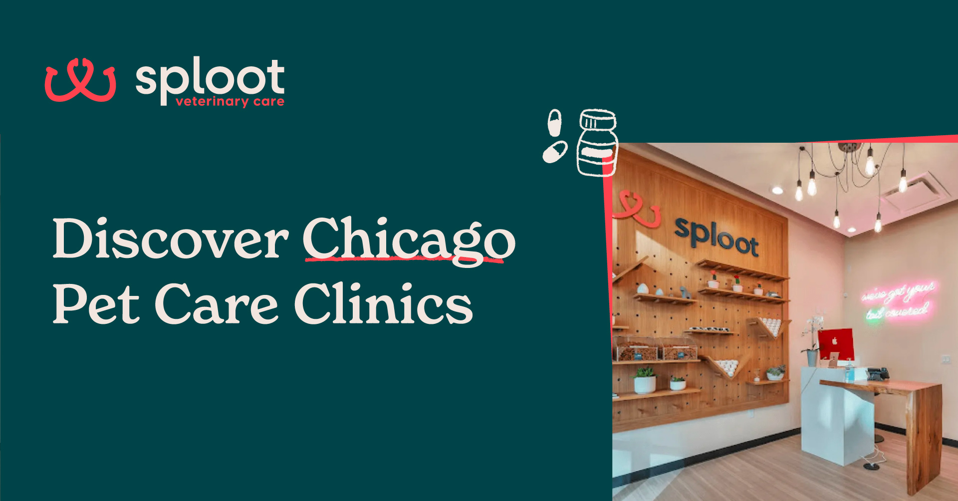 Sploot Veterinary Care - Logan Square