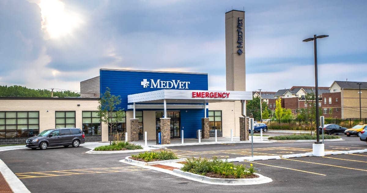 MedVet Chicago